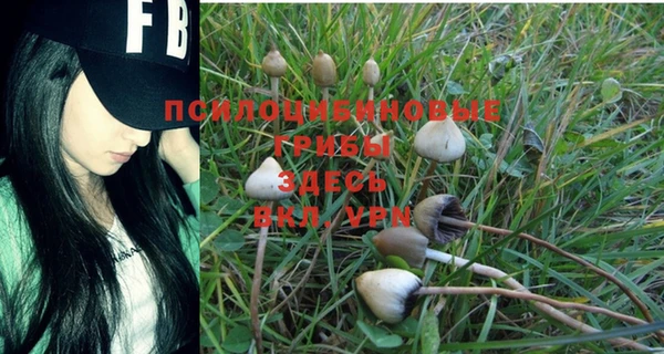 синтетический гашиш Володарск