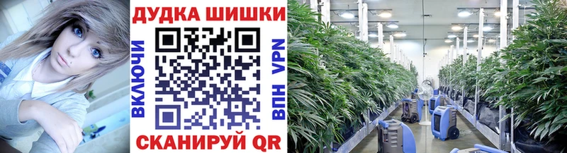 магазин  наркотиков  Каменка  Канабис план 